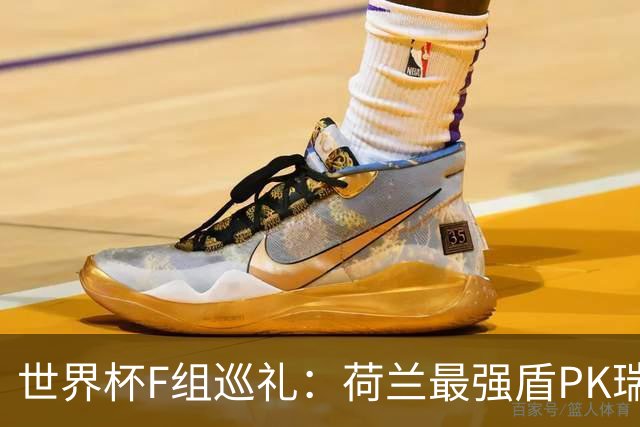 世界杯F组巡礼：荷兰最强盾PK瑞典犀利刀 日本短板明显